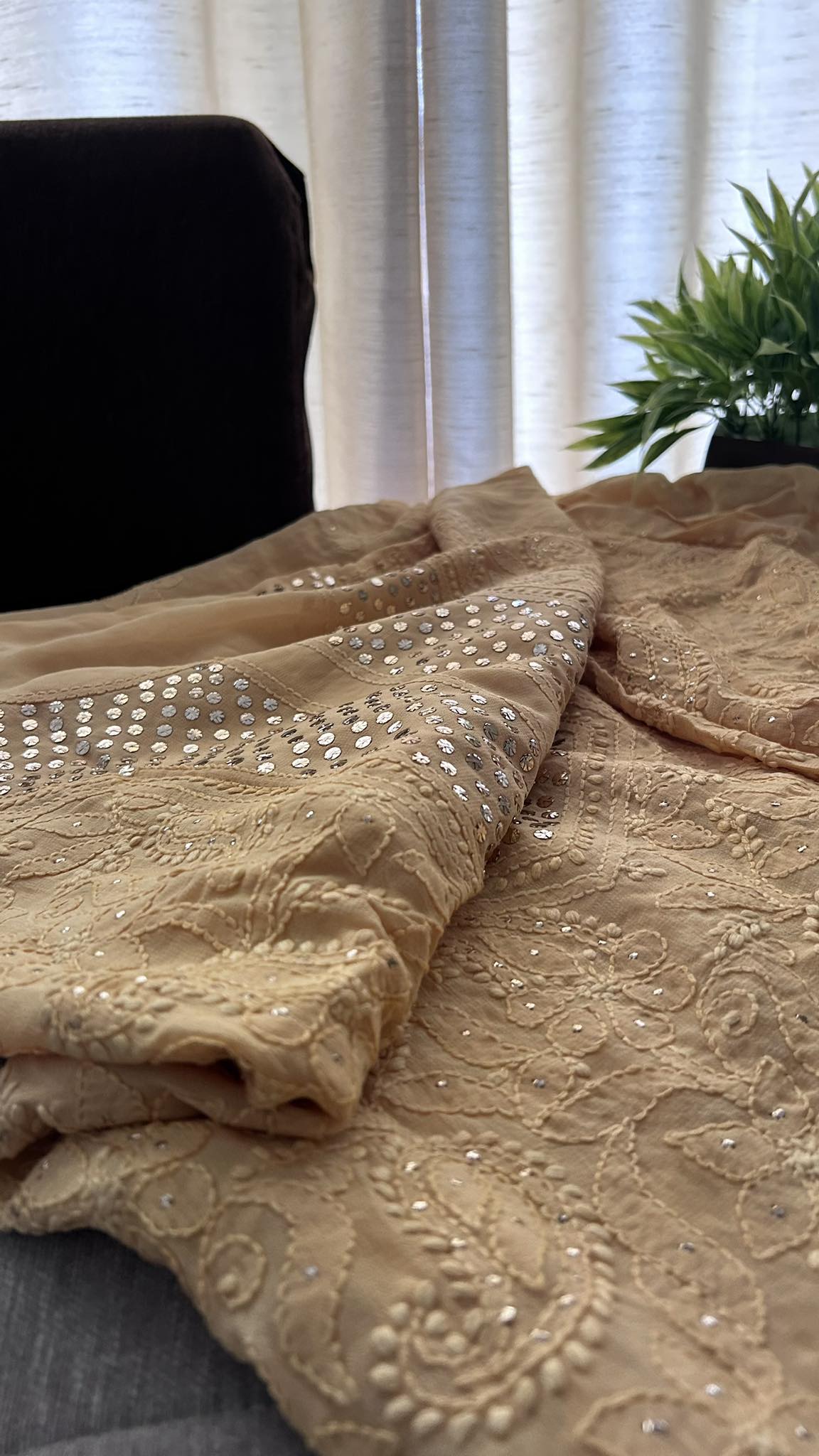 Beige Mukaish Neckline Chikankari Kurta Dupatta