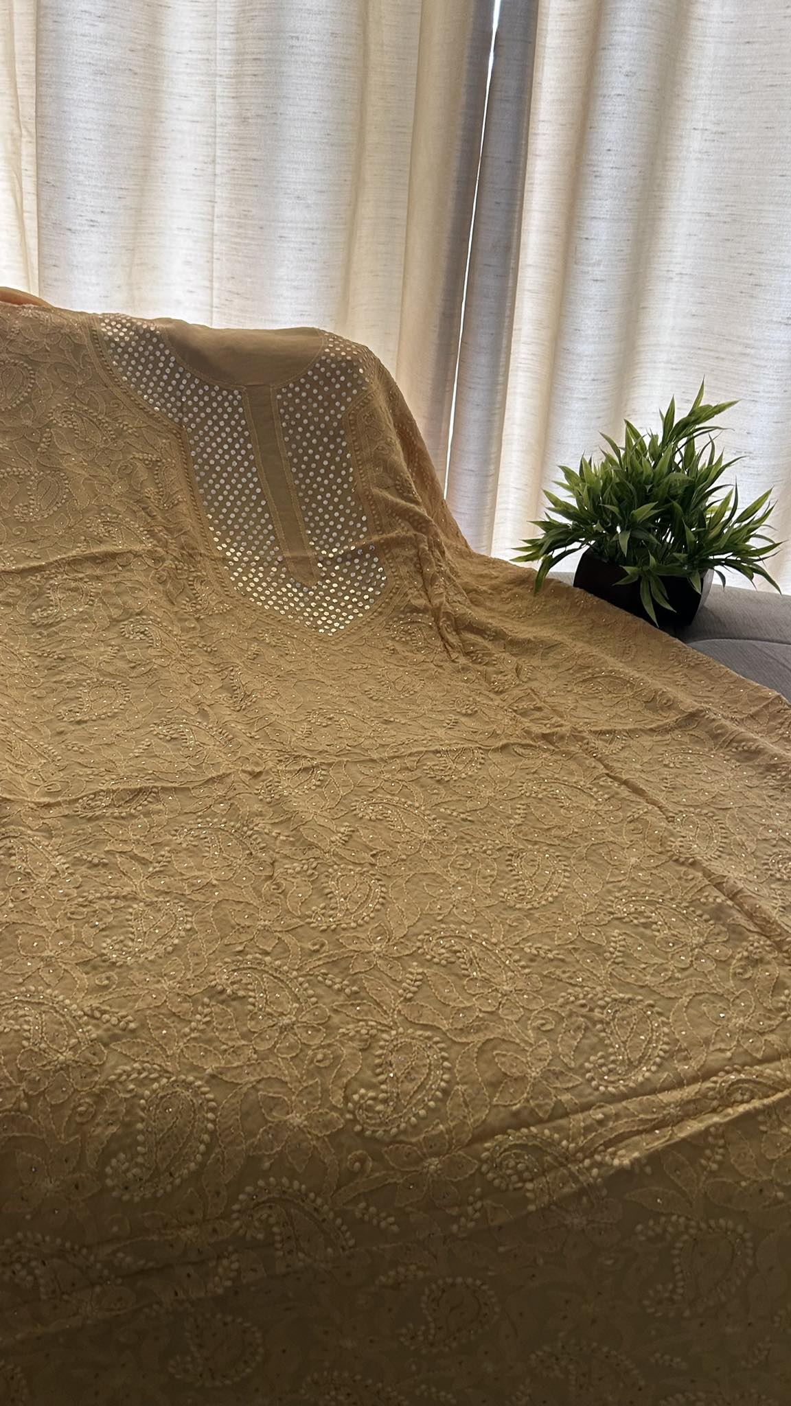 Beige Mukaish Neckline Chikankari Kurta Dupatta