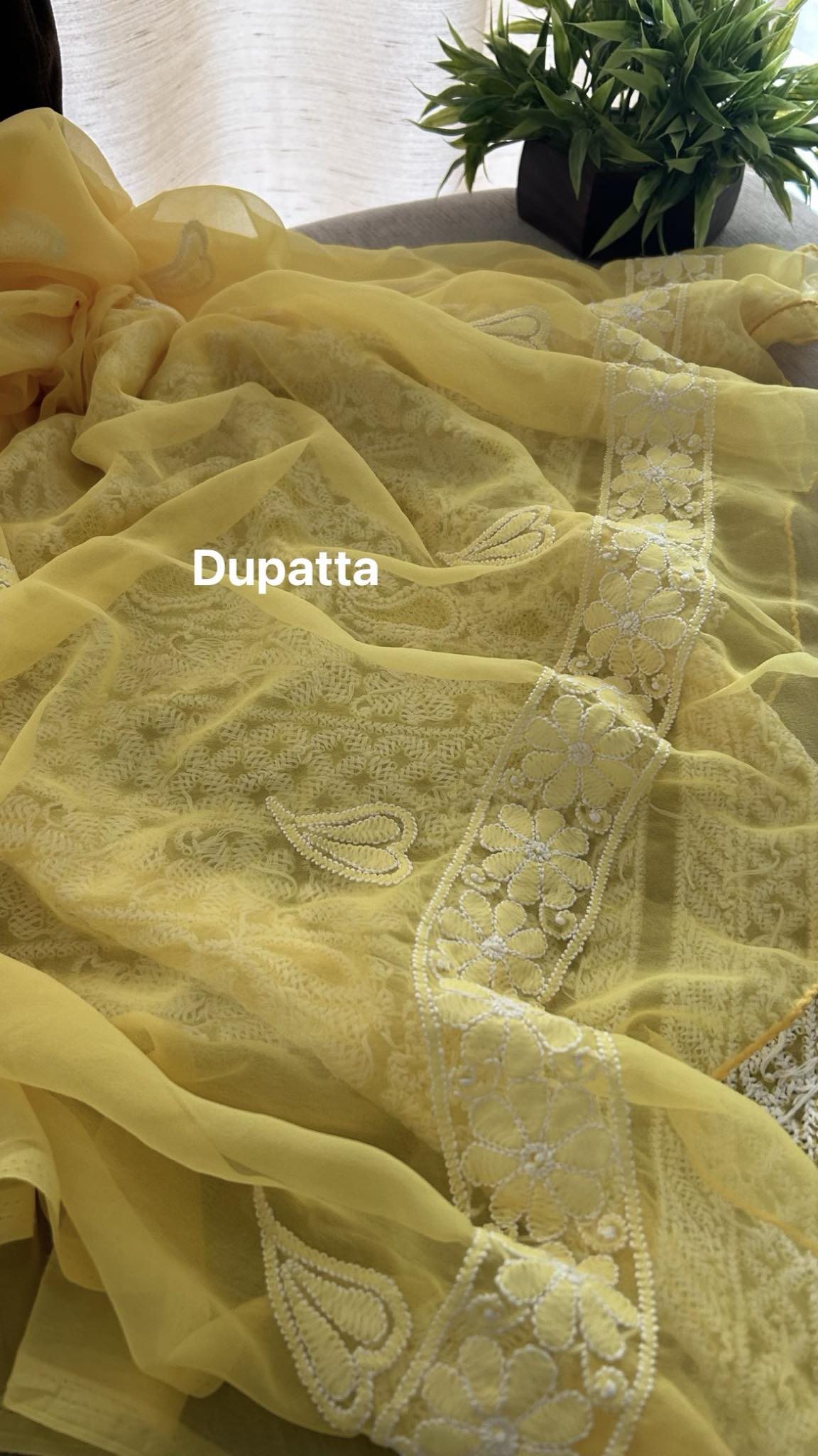 Yellow Hand Jaali & Chikankari Georgette Three Piece Suit