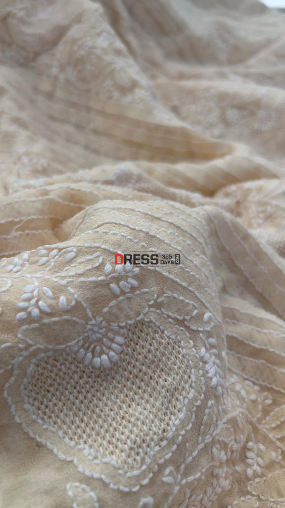 Beige Chikankari Hand Jaali Saree Chikankari Saree