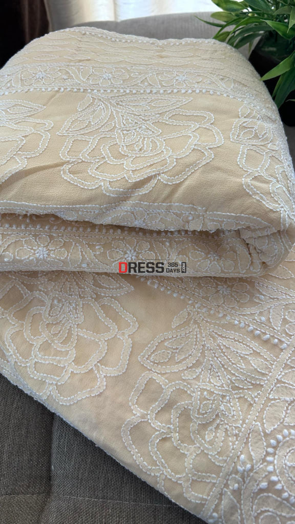 Beige Chikankari Hand Jaali Saree Chikankari Saree