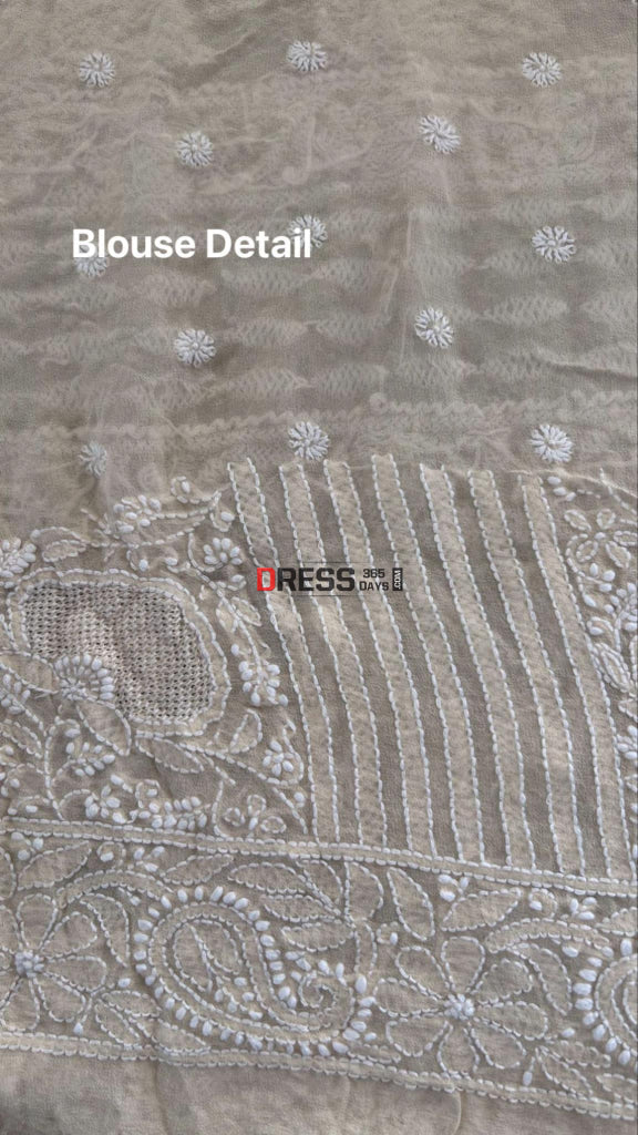 Beige Chikankari Hand Jaali Saree Chikankari Saree