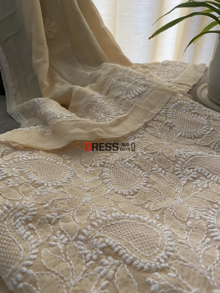 Beige Hand Jaali Lucknowi Chikankari Suit Suits