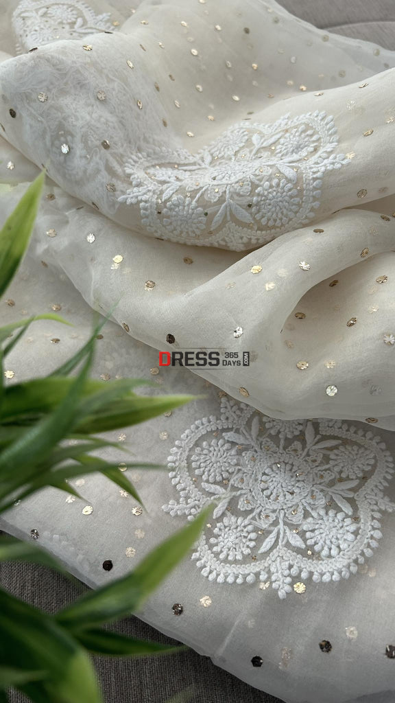 Ivory White Organza Chikankari & Mukaish Saree Parsi Gara