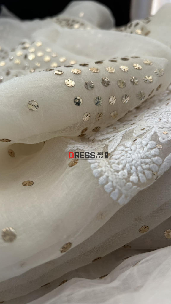 Ivory White Organza Chikankari & Mukaish Saree Parsi Gara