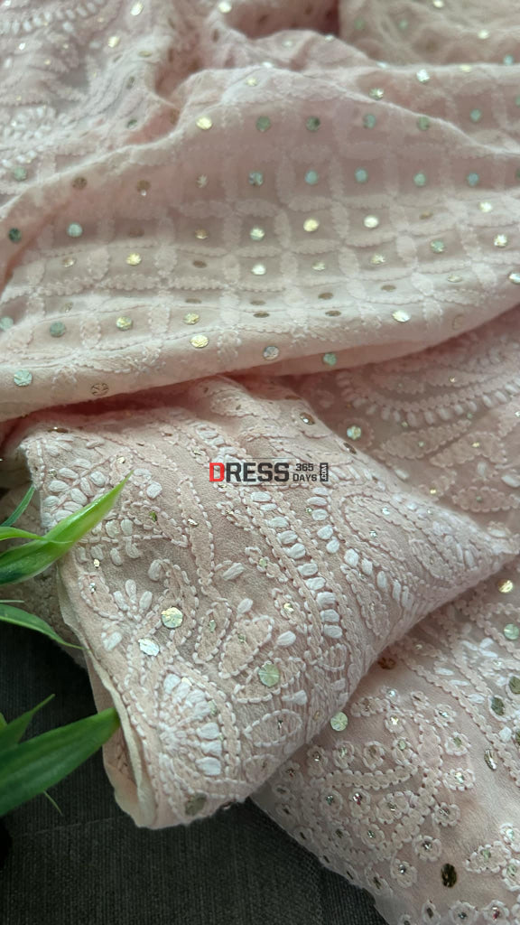 Pastel Pink Chikankari Mukaish Saree