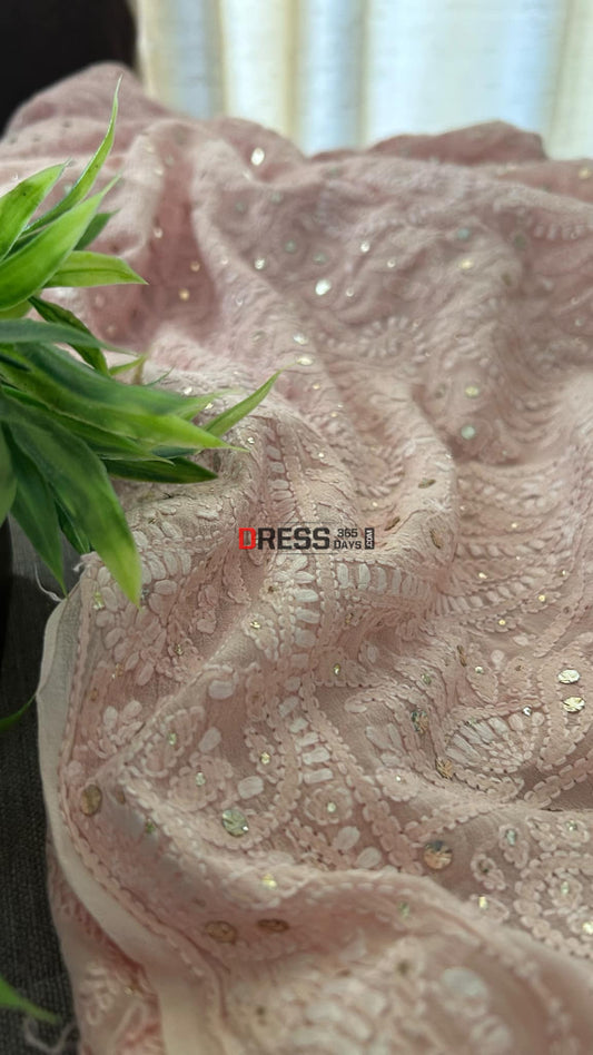 Pastel Pink Chikankari Mukaish Saree