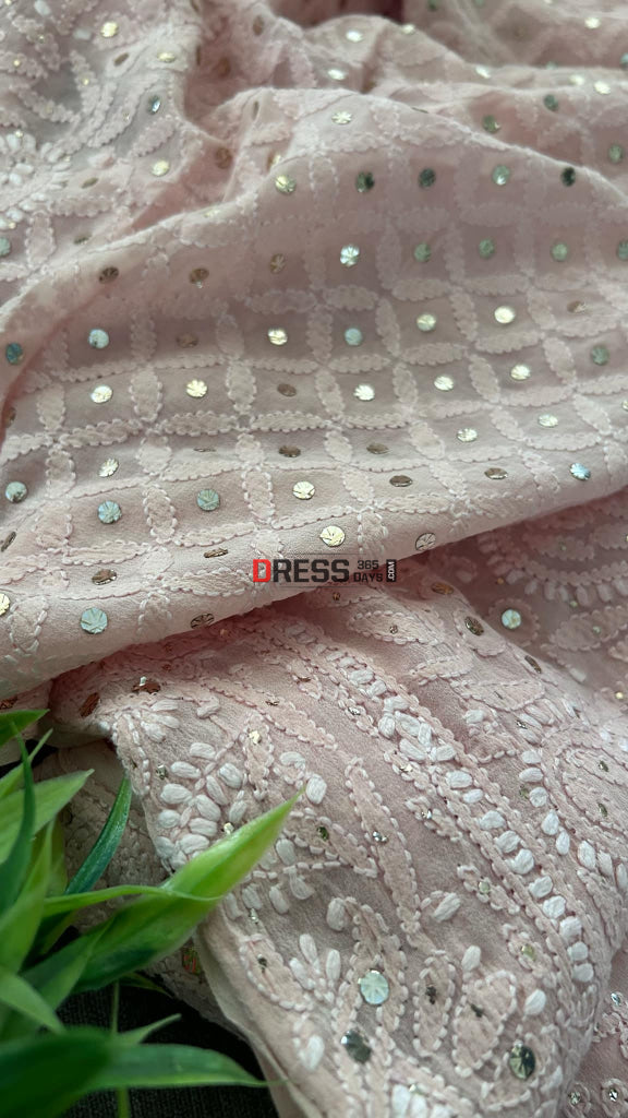 Pastel Pink Chikankari Mukaish Saree