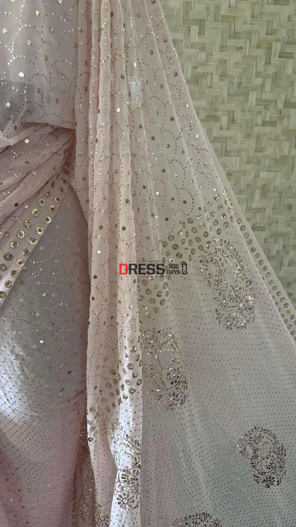 Pastel Pink Mukaish Saree Kamdani Saree
