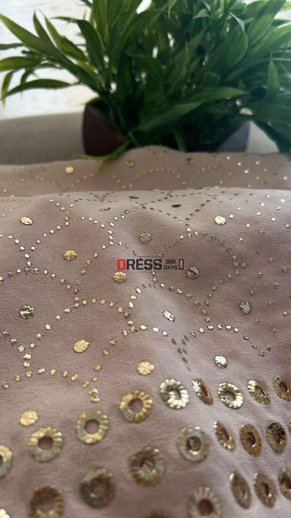 Pastel Pink Mukaish Saree Kamdani Saree