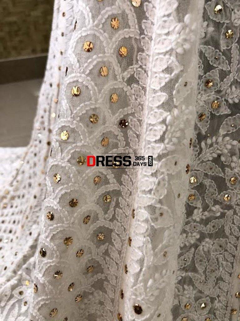 Lucknowi Chikankari Lehenga Skirt (Only Lehenga)