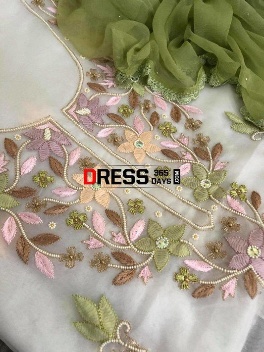 Multicolour Chikankari Neckline Organza Suit Suits