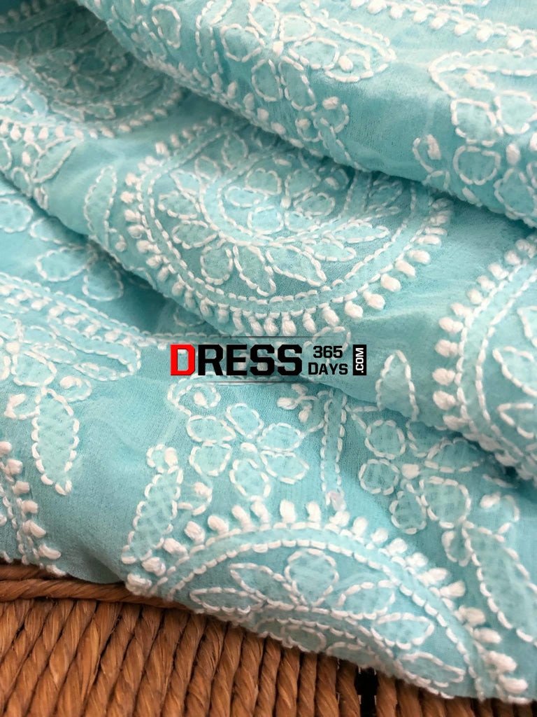 Sky Blue Chikankari Saree