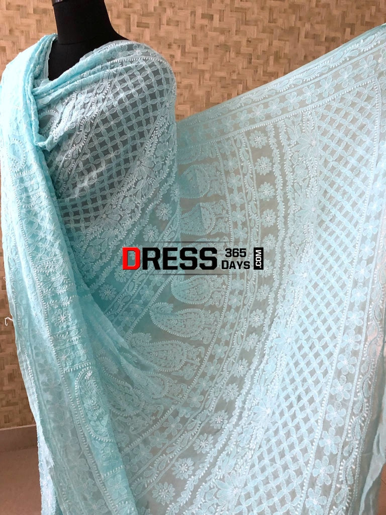 Sky Blue Chikankari Saree